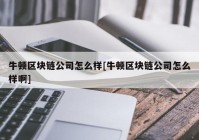 牛顿区块链公司怎么样[牛顿区块链公司怎么样啊]